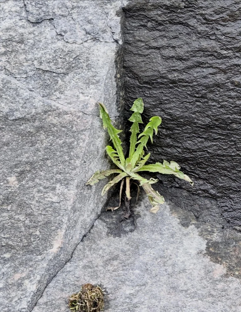 Instagram post from vivia.art. This post is in position 1.