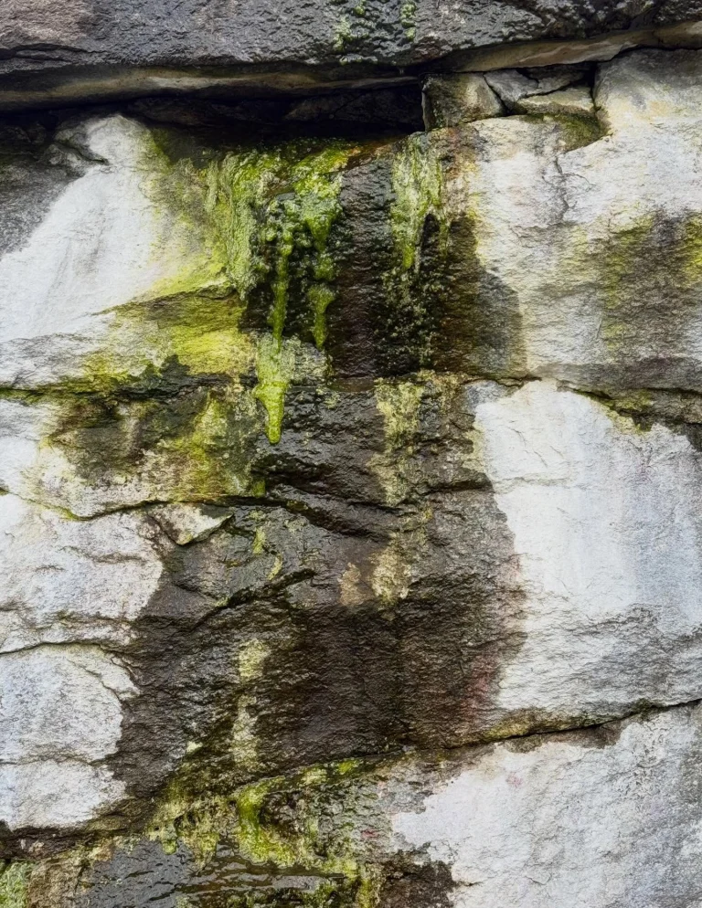 Instagram post from vivia.art. This post is in position 4.