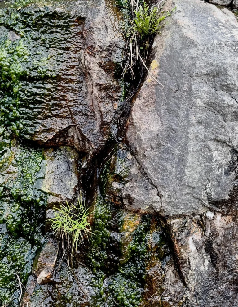 Instagram post from vivia.art. This post is in position 8.