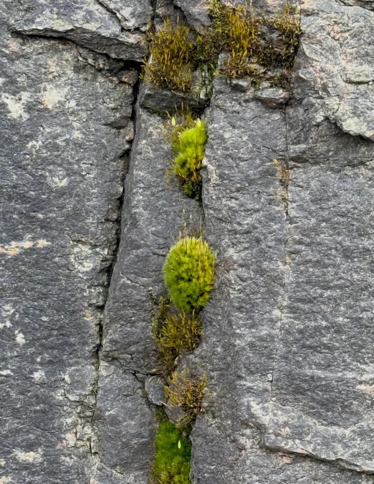 Instagram post from vivia.art. This post is in position 5.