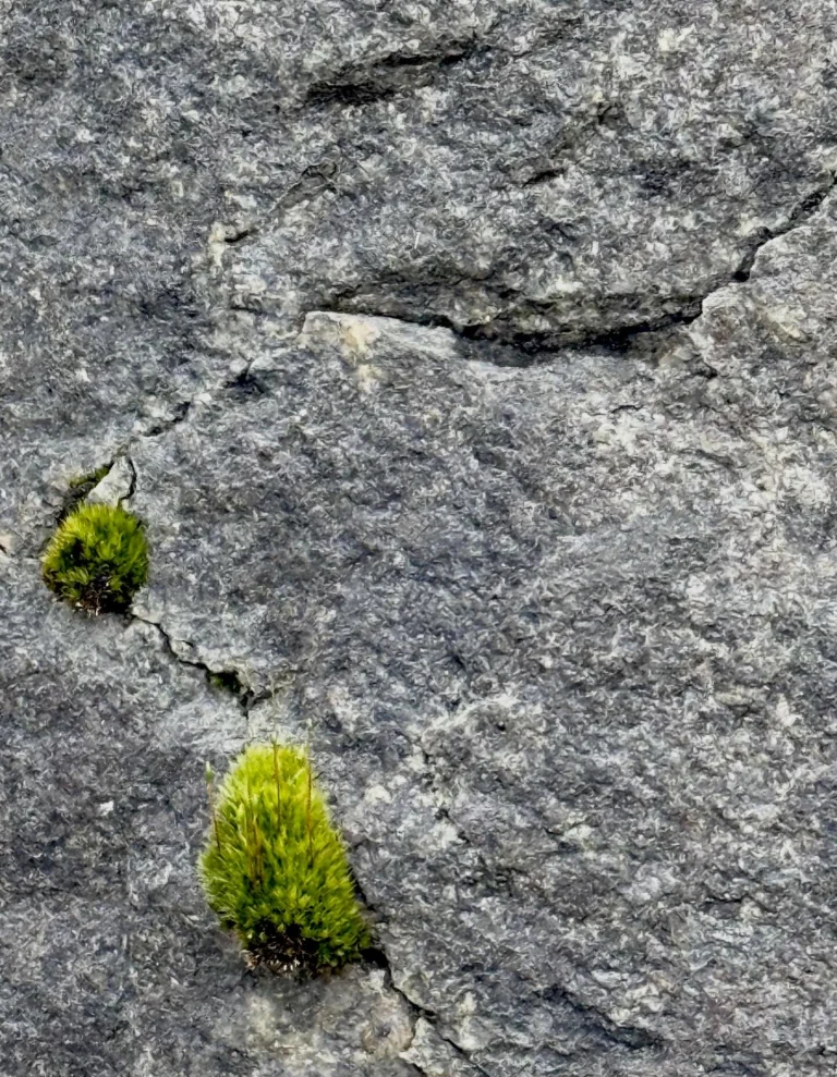 Instagram post from vivia.art. This post is in position 9.