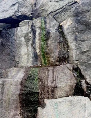 Instagram post from vivia.art. This post is in position 2.