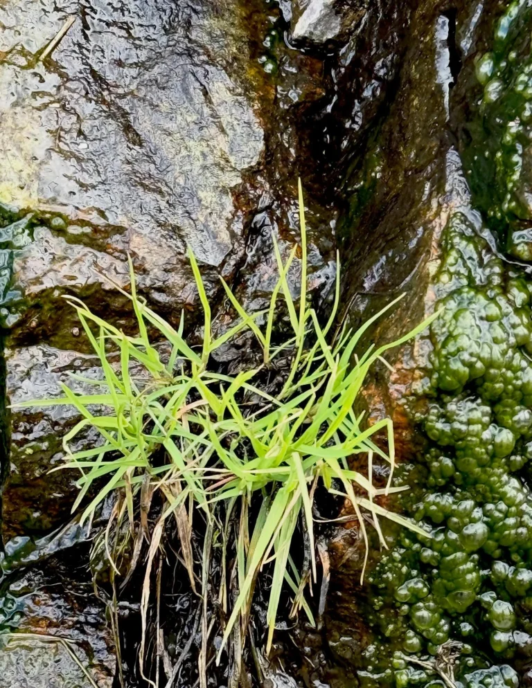 Instagram post from vivia.art. This post is in position 7.