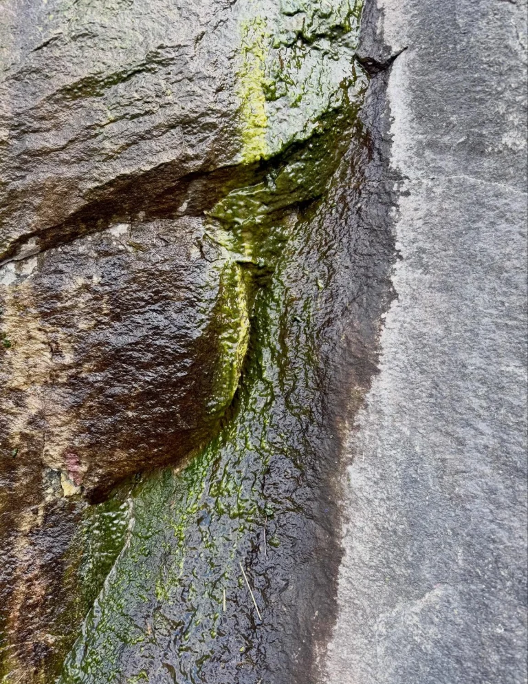 Instagram post from vivia.art. This post is in position 10.