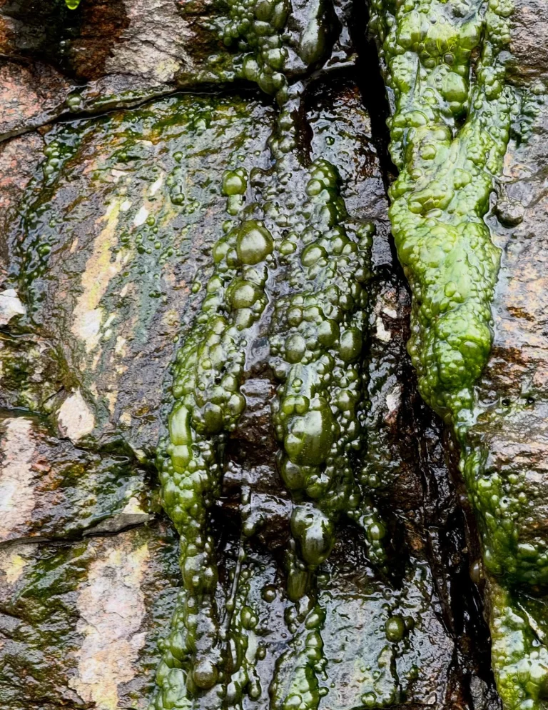 Instagram post from vivia.art. This post is in position 6.