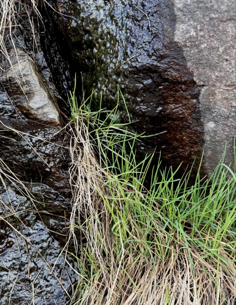 Instagram post from vivia.art. This post is in position 13.