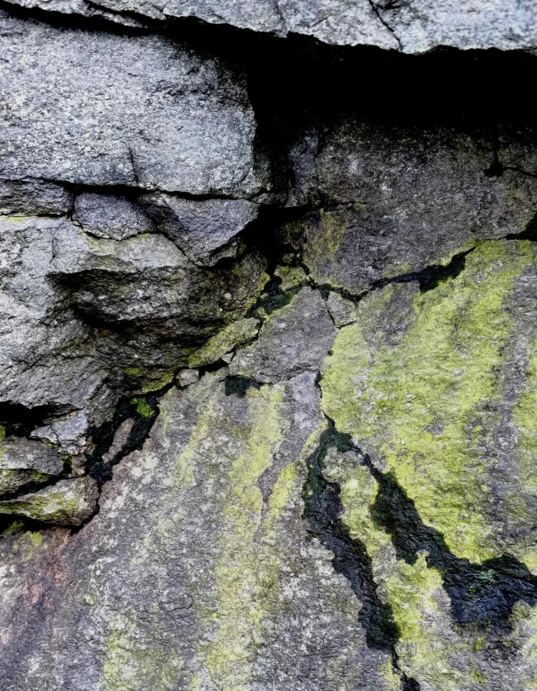 Instagram post from vivia.art. This post is in position 12.