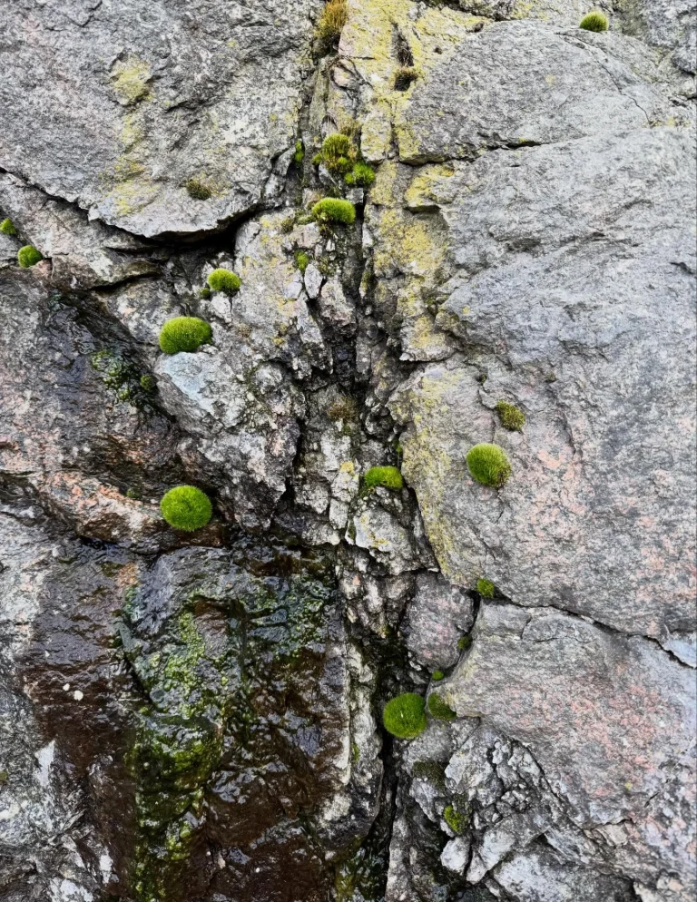 Instagram post from vivia.art. This post is in position 11.