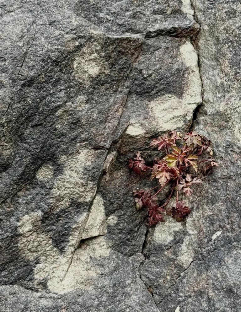 Instagram post from vivia.art. This post is in position 14.