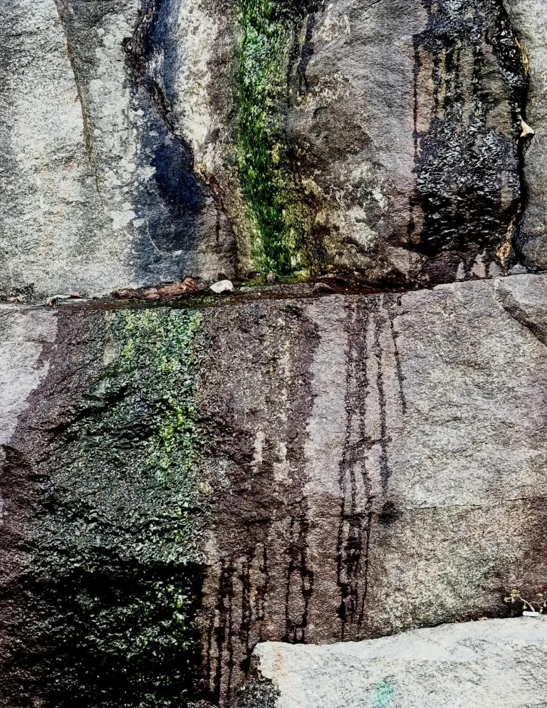 Instagram post from vivia.art. This post is in position 15.