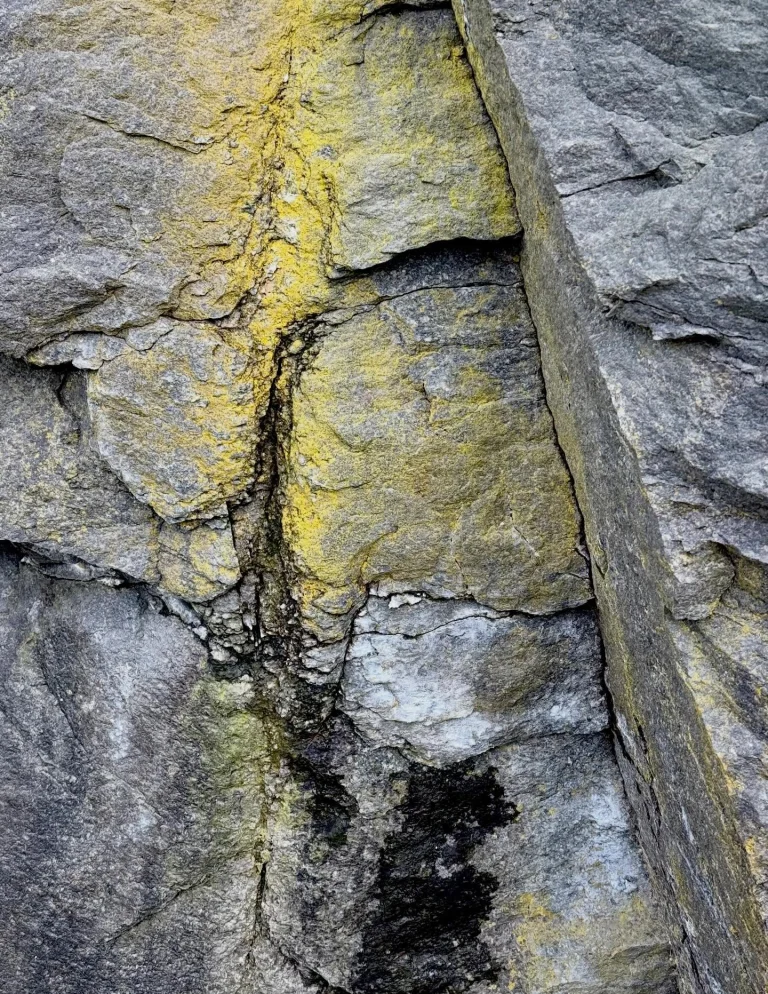 Instagram post from vivia.art. This post is in position 3.